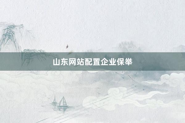 山东网站配置企业保举